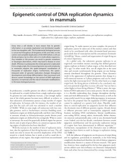 Epigenetic control of DNA replication dynamics in mammals