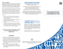 Diversity Brochure in PDF