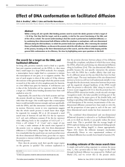 Effect of DNA conformation on facilitated diffusion