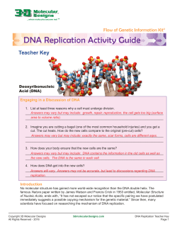DNA Replication Activity Guide