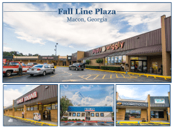 Fall Line Plaza Executive Summary