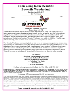 Come along to the Beautiful Butterfly Wonderland