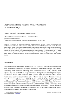 Activity and home range of Testudo hermanni in Northern Italy