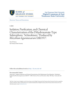 Isolation, Purification, and Chemical Characterization of the