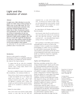 Light and the evolution of vision