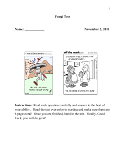Fungi Chapter Test