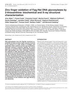 Zinc finger oxidation of Fpg/Nei DNA