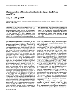 Characterization of the discontinuities in rice tungro bacilliform virus