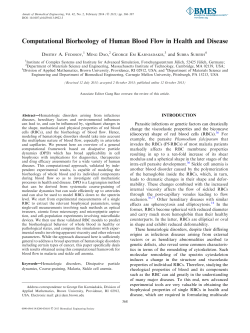 Computational Biorheology of Human Blood Flow in Health