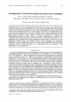 GI ycolipogrotein Cytotoxin from Leptospira