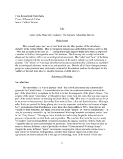 Stewart, Colleen, "Labor in the Strawberry Industry: The Humans