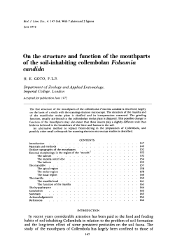 On the structure and function of the mouthparts of the soilinhabiting