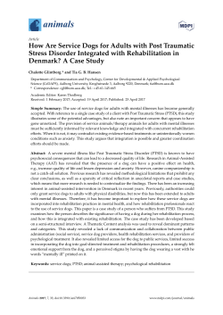 How Are Service Dogs for Adults with Post Traumatic Stress