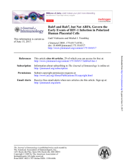 Human Placental Cells Early Events of HIV