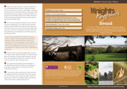 Knights and Kingfishers (Strood Rail Trail)