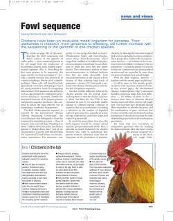 Fowl sequence