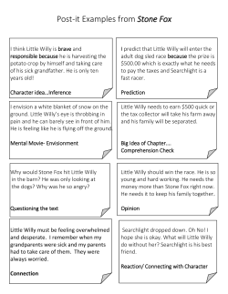 Post-it Examples from Stone Fox