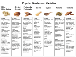 Popular Mushroom Varieties