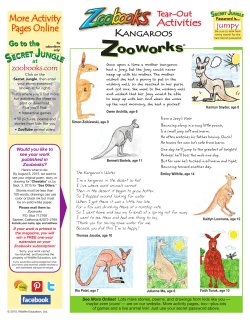 ooworks Zooworks