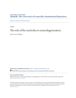 The role of the nucleolus in neurodegeneration.