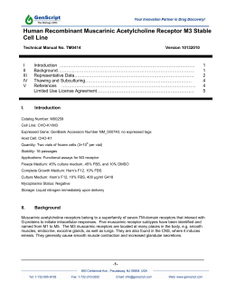 Human Recombinant Muscarinic Acetylcholine Receptor M3 Stable