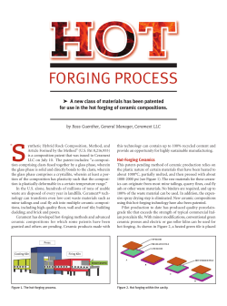Hot Forging Process