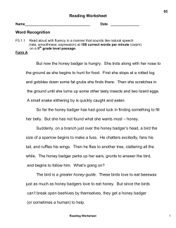 PANAMA-BUENA VISTA UNION SCHOOL DISTRICT