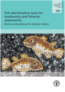 Fish identification tools for biodiversity and fishereis assessments