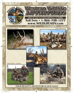 our brochure here - Western Wildlife Adventures