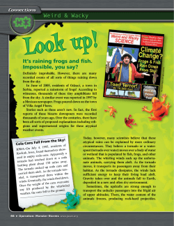 It`s raining frogs and fish. Impossible, you say?