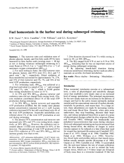 Fuel homeostasis in the harbor seal during submerged swimming
