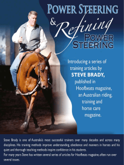 THE TURN ON THE HINDQUARTERS