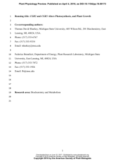 Pectin Methylesterification Impacts the Relationship Between