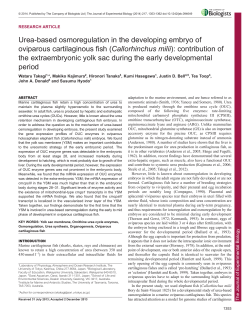 Urea-based osmoregulation in the developing embryo of oviparous