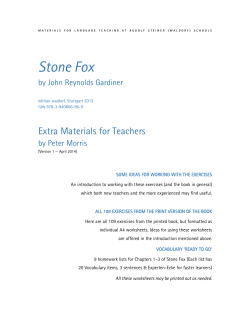 Stone Fox