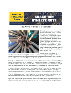 Play Like A Champion