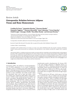 Osteopontin: Relation between Adipose Tissue and Bone
