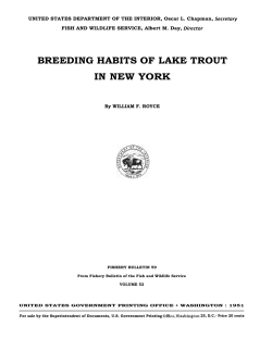 breeding habits of lake trout in new york