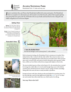 Acadia National Park