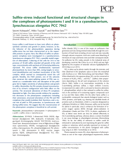 Sulfite-stress induced functional and structural changes in the