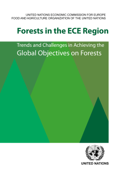 Forests in the ECE Region