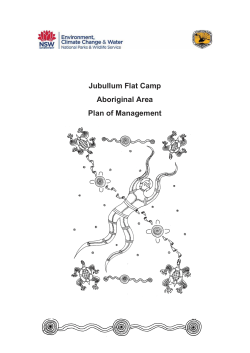 jubullum flat camp aboriginal area plan of management