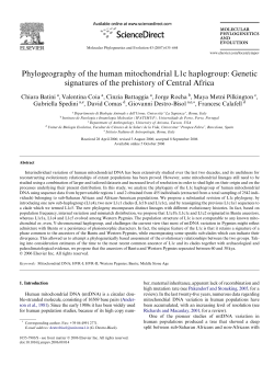 Phylogeography of the human mitochondrial L1c haplogroup