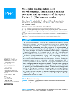 Molecular phylogenetics, seed morphometrics, chromosome