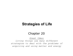 Strategies of Life
