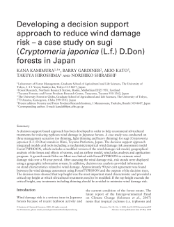 Developing a decision support approach to reduce wind damage risk