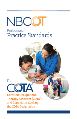 Practice Standards