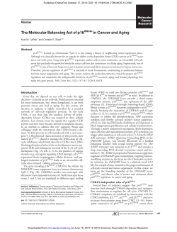 The Molecular Balancing Act of p16 in Cancer and Aging