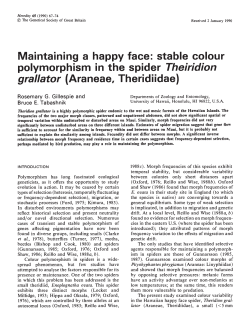 Maintaining a happy face: stable colour polymorphism in