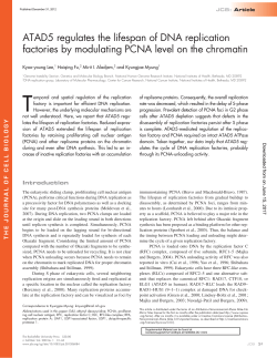 ATAD5 regulates the lifespan of DNA replication factories by